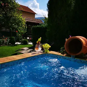 3* Pensiune Zigen House